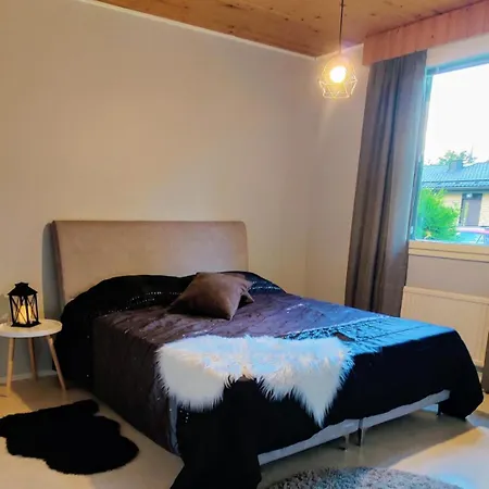 Spacious Downtown Apartment! Apartment Muhos